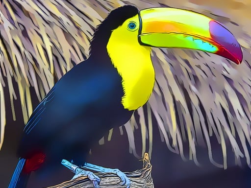 Toucan Bird Jigsaw