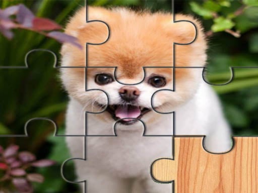 Cute Dogs Jigsaw Puzlle